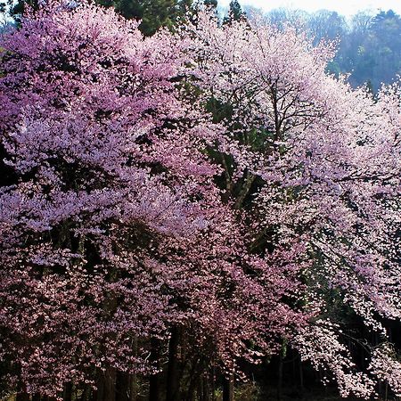 Aizu Astraea Hotel Minamiaizu Eksteriør bilde